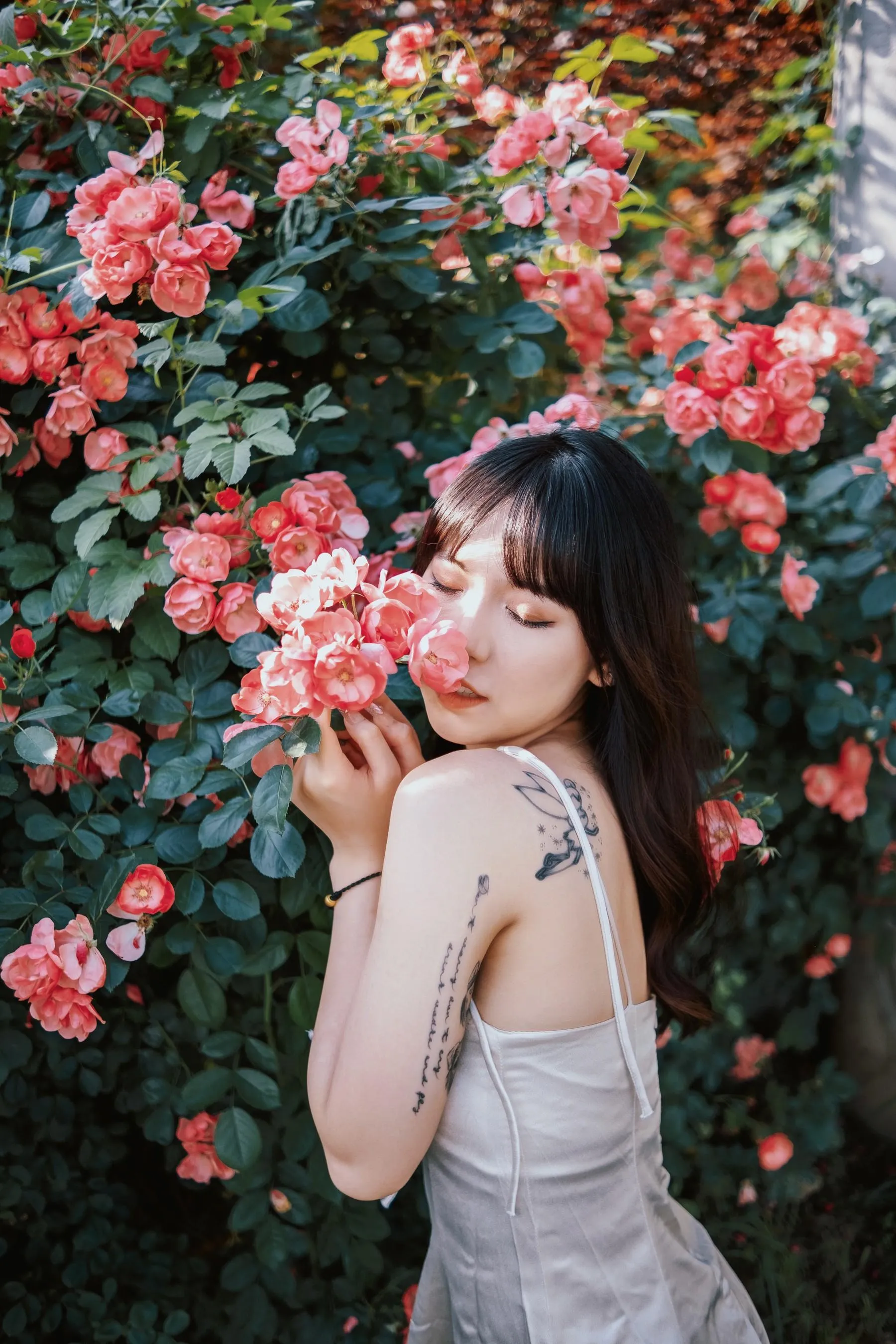 [艺图语] 2022.06.10 蔷薇花下 依依 [25P]插图5